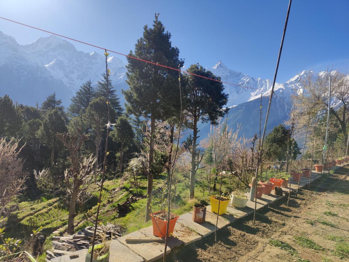 Silk Route Home Stay كالبا المظهر الخارجي الصورة