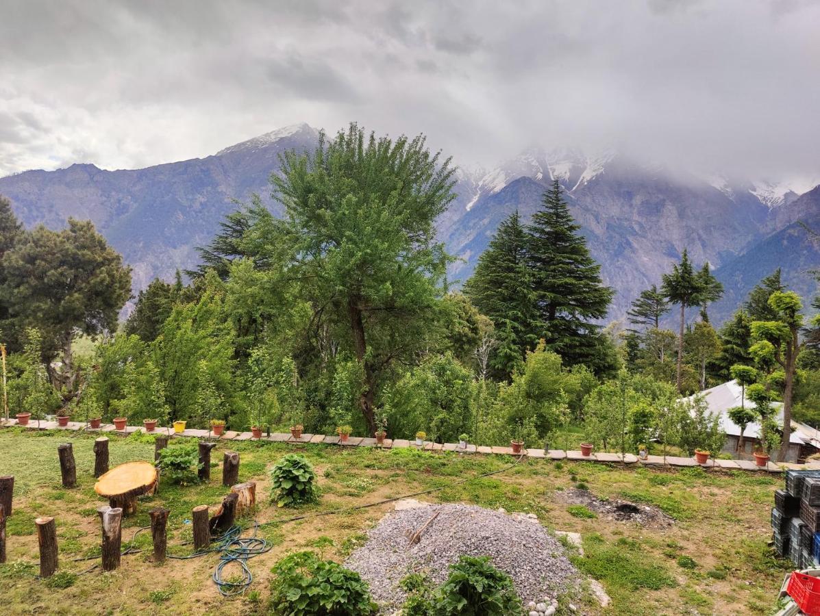 Silk Route Home Stay كالبا المظهر الخارجي الصورة